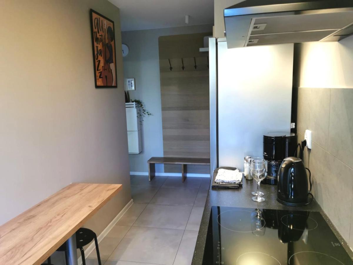 Apartament Wygoda Old Town Deluxe Wawelofts 克拉科夫 外观 照片